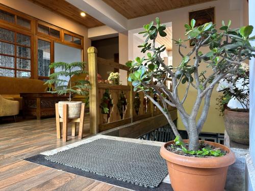 a room with a potted plant on a floor with a table at Hello Home in Pelling