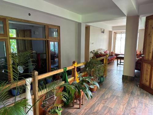 ein Wohnzimmer mit vielen Topfpflanzen in der Unterkunft Hello Home in Pelling