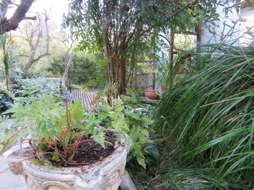 Jardín al aire libre en Jedidja Bed and Breakfast