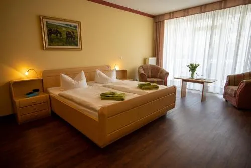Hotel Esplanade & Aparthotel Rialto photo 43