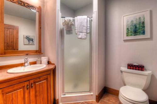 a bathroom with a shower and a toilet and a sink at Plateau D - Mont-Tremblant in Mont-Tremblant