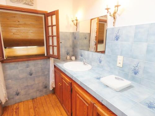 uma casa de banho com um lavatório e um espelho em Le grand bidot em Louer
