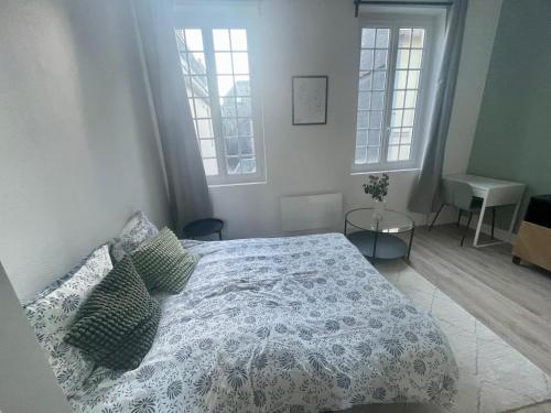 une chambre avec un lit et deux fenêtres dans l'établissement Studio Modern times a Rouen -280, à Rouen
