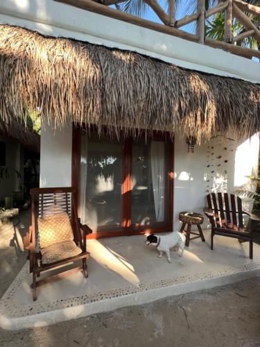 Gallery image of Casa Tom Tom in Holbox Island