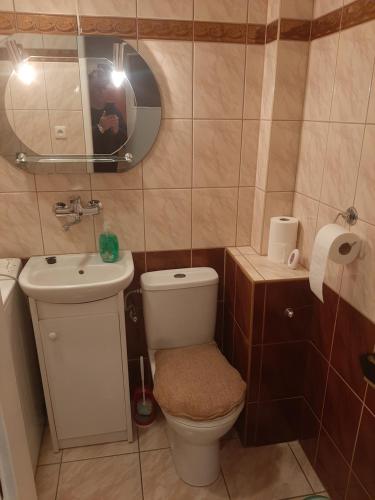 a small bathroom with a toilet and a sink at Centrum in Koło