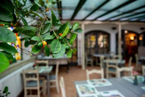 Un restaurante o sitio para comer en Nyerges Hotel Termál Superior
