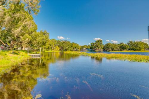 a view of a river with a bench and trees at Bikes, Kayak and Dock Lakefront Inverness Retreat in Inverness