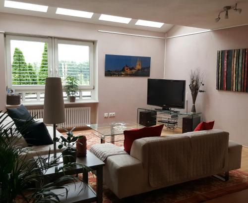 een woonkamer met een bank en een tv bij Apartment Serene Retreat in Regensburg