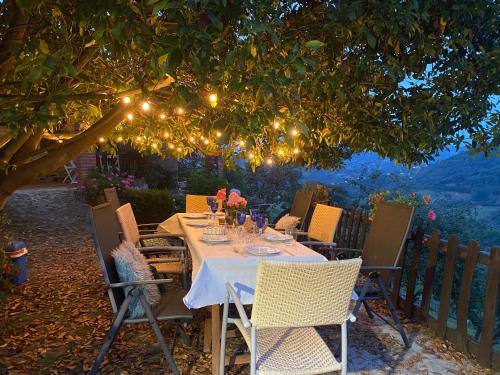 a dinner table under a tree with lights at Casa Paci 