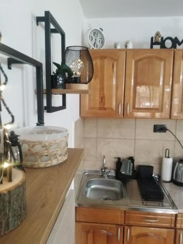 a kitchen with a sink and a counter top at Simic Apartmani Tara in Kaludjerske Bare