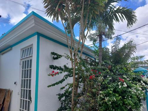 een wit en blauw huis met palmbomen en bloemen bij Rental Furnished Studio in Port Louis