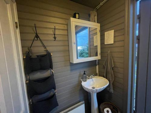ein Bad mit einem Waschbecken und einem Spiegel in der Unterkunft Golden Circle Cozy Retreat in Grímsnes og Grafningshreppur