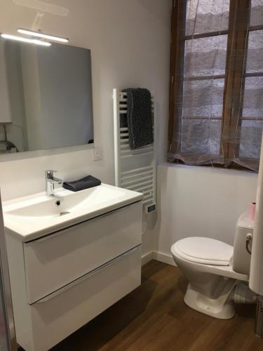 a bathroom with a sink and a toilet and a mirror at Joli Cocon pour 3 personnes vue sur les toits du centre de Caylus in Caylus