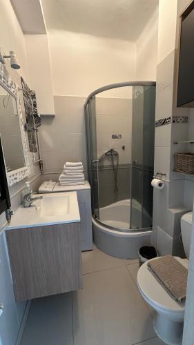a bathroom with a shower and a sink and a toilet at Apartamenty Deluxe NADIA II - Centrum in Zielona Góra