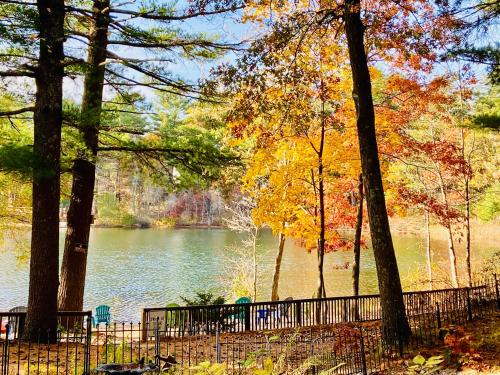 a view of a lake with trees and a fence at Clear Pond Getaway in Plymouth