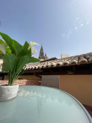 una mesa de cristal con una planta en la parte superior de un techo en Las Teresitas, en Toledo