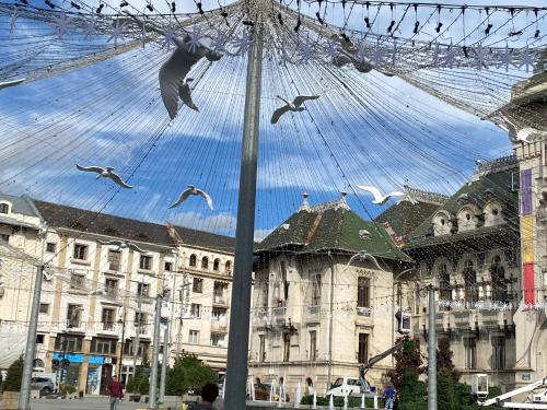 a group of birds flying over a building at Blue light ultracentral in Craiova