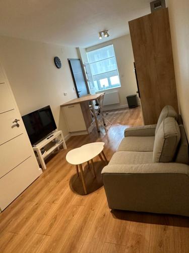 - un salon avec un canapé et une table dans l'établissement T2 hyper centre LONS LE SAUNIER, à Lons-le-Saunier
