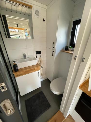 a small bathroom with a sink and a toilet at Tinyhaus Marie von Tinyhaus Steinhude in Steinhude