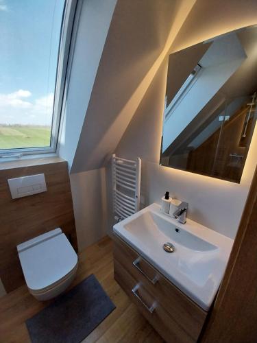 a bathroom with a sink and a toilet and a mirror at BIAŁKA TATRZAŃSKA L12 in Białka Tatrzańska