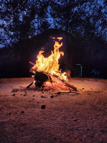 a fire pit on the beach at night at Amare Cabin in the bush with all your needs! in Marloth Park