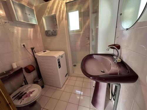 een badkamer met een wastafel en een toilet bij Le mont in Saint-Geours-de-Maremne