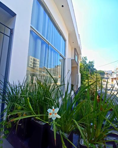 Pousada Flor de Lis Homestay – Photos 3