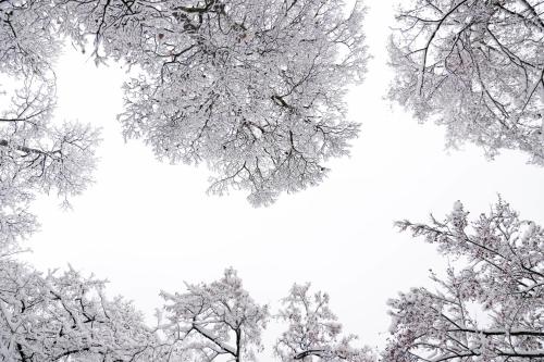 The Kaprun Edition - Luxury Chalets & Style Suites durante el invierno
