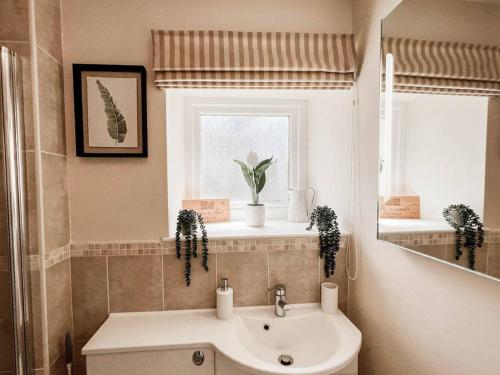 a bathroom with a sink and a mirror at Idyllic rural retreat with one bedroom and parking in East Portlemouth