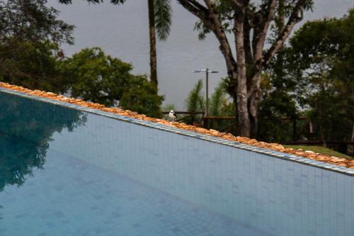 a swimming pool with rocks on the top of it at Ilha privativa - Rio Paraguaçu in Cachoeira