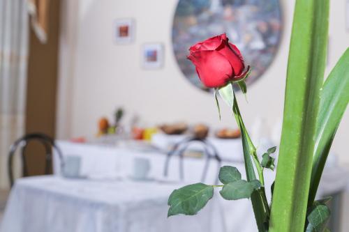 a red rose sitting on top of a table at HOSTAL PUNTA ARENAS in Tarija