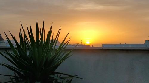 Ático dúplex con gran terraza por habitaciones