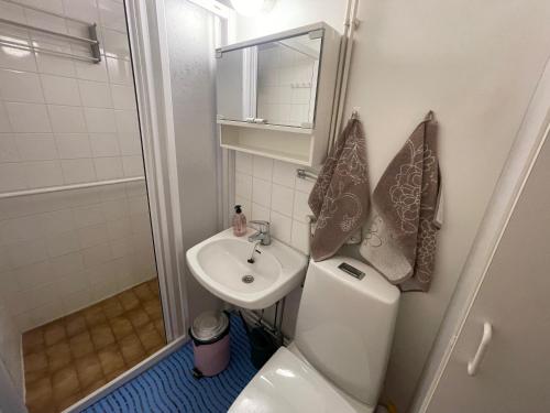 a small bathroom with a toilet and a sink at Spacious city apartment in Rovaniemi