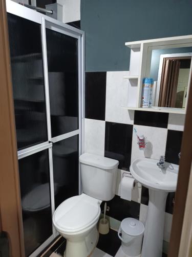 łazienka z toaletą i umywalką w obiekcie Alquilo duplex temporario w mieście Posadas
