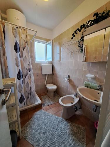 łazienka z toaletą i umywalką w obiekcie Apartmani Sonja w Rabie