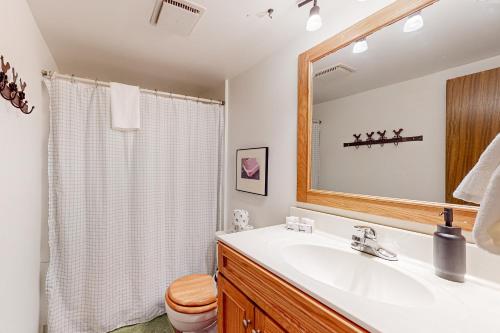 a bathroom with a sink and a toilet and a mirror at Running Fox Farm in Baraboo