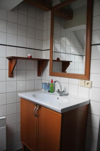 y baño con lavabo y espejo. en Jizera Cottage en Rokytnice nad Jizerou