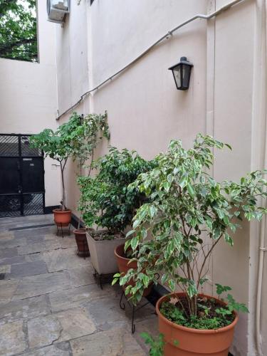 a group of potted trees sitting next to a building at Espacio Verde in Salta