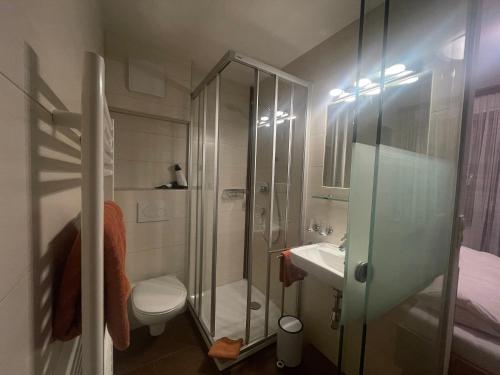 a bathroom with a shower and a toilet and a sink at Gästeheim Lederle in Jerzens