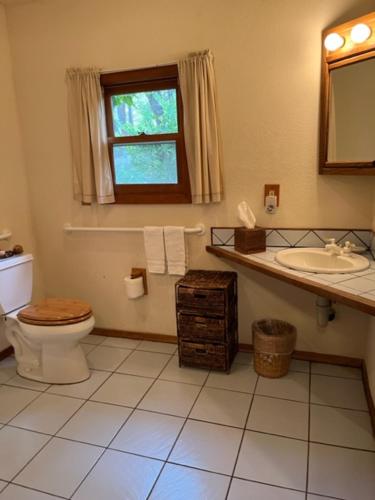 a bathroom with a toilet and a sink and a window at Backyard Garden Oasis in Middletown