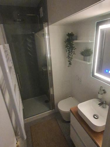een badkamer met een douche, een toilet en een wastafel bij À Durbuy in Durbuy