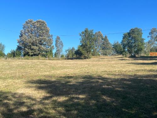 a large open field with trees in the background at Casa de campo in Lago Ranco