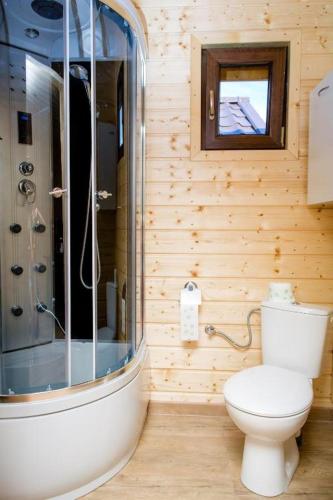 a bathroom with a shower and a toilet in a room at Wisełka Domki Letniskowe NEMO in Wisełka