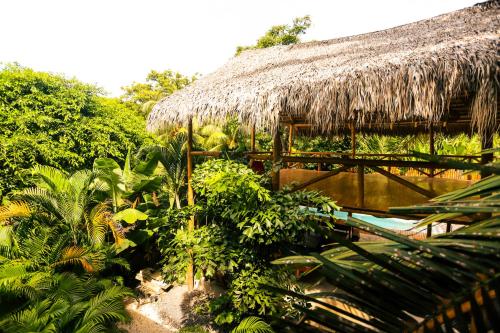 Imagen de la galería de Cabinas Playa Surf Hostel, en Santa Teresa Beach