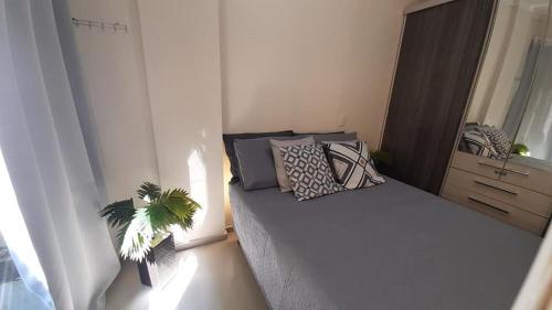 een kleine slaapkamer met een bed met kussens en een plant bij Apto 103 apenas 5min a pé das Termas in Piratuba