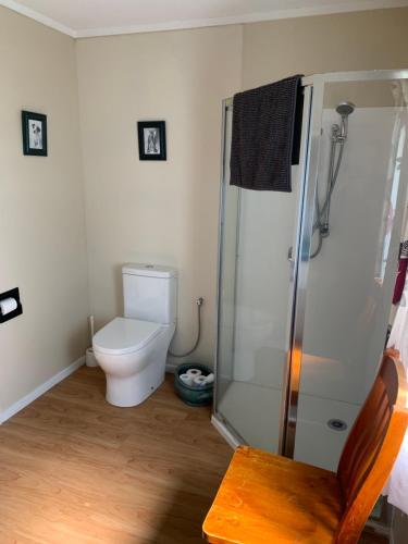 a bathroom with a toilet and a glass shower at The Parklet in Patangata