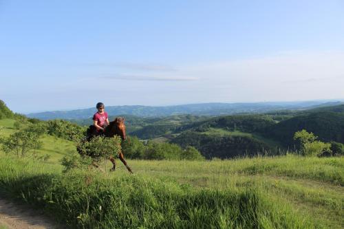 a person riding a horse on a grassy hill at Eco Lodge Taor in Taor