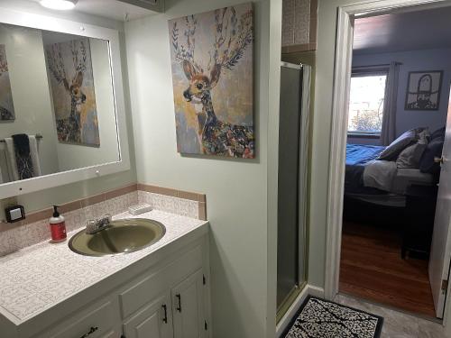 a bathroom with a sink and a mirror at ATTACHED MOTHER-IN-LAW SUITE Soak in the hot tub, star gaze, enjoy the reservoir, hike, bike, kayak and more - Private floor, entrance, terrace and room and bathroom, not the full house in Fort Collins