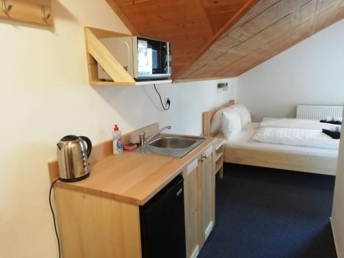 a kitchen with a sink and a bed in a room at Pension Big Apple in Železná Ruda