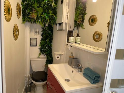 Koupelna v ubytování Charme Historique de Beauvoir au Cœur de Blois